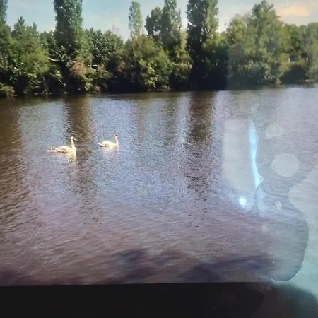 Avec Piscine *