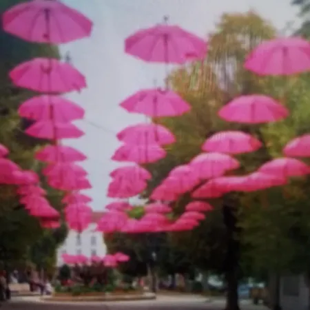 Apartment Avec Piscine La Roche-Posay